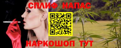 гидра Обнинск