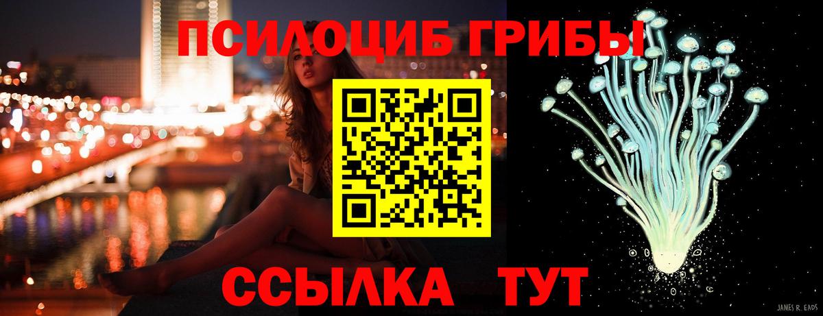 Галлюциногенные грибы Psilocybine cubensis Троицк
