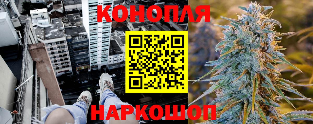 Бошки Шишки планчик Троицк